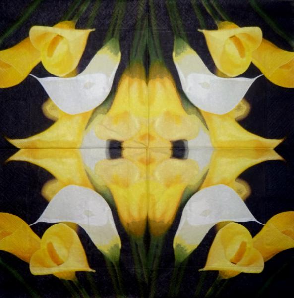 035 Calla - 3-ply